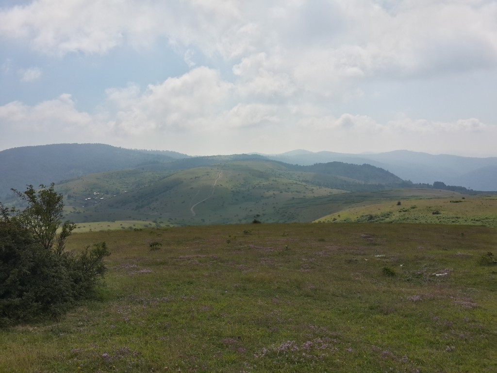 2014-07-08 15.51.36.jpg