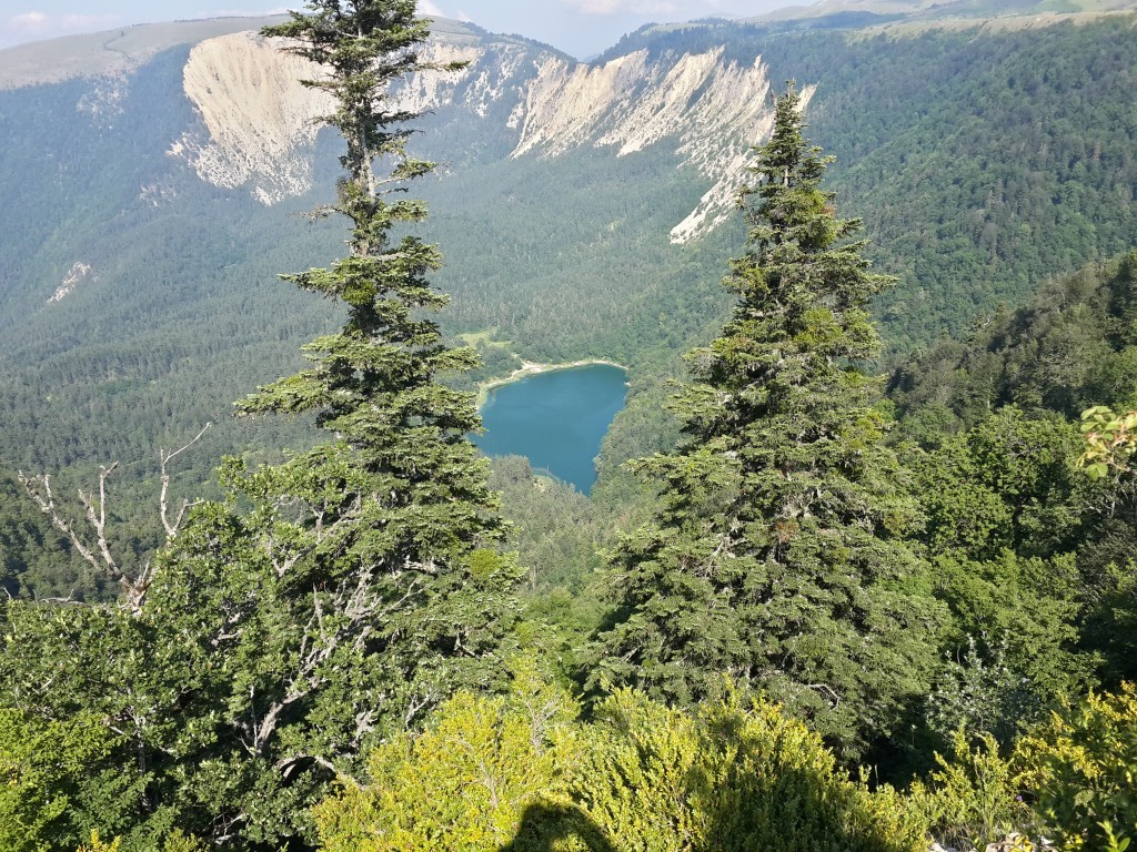 2014-07-08 16.47.40.jpg