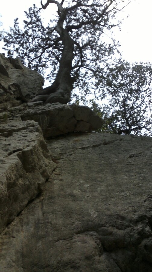 2014-10-31-1103.jpg