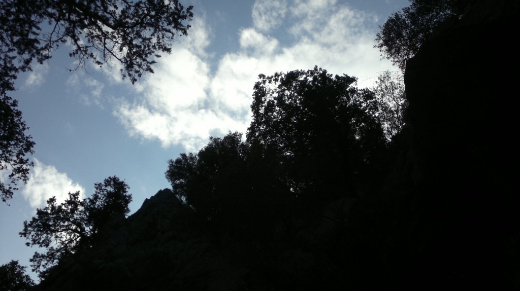2014-10-31-1105.jpg