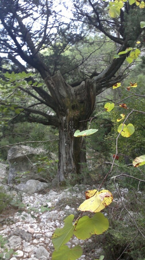 2014-10-31-1113.jpg