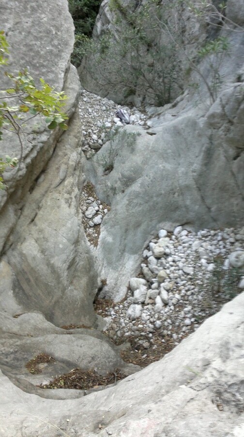2014-10-31-1115.jpg