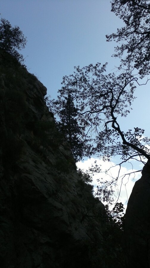 2014-10-31-1118.jpg