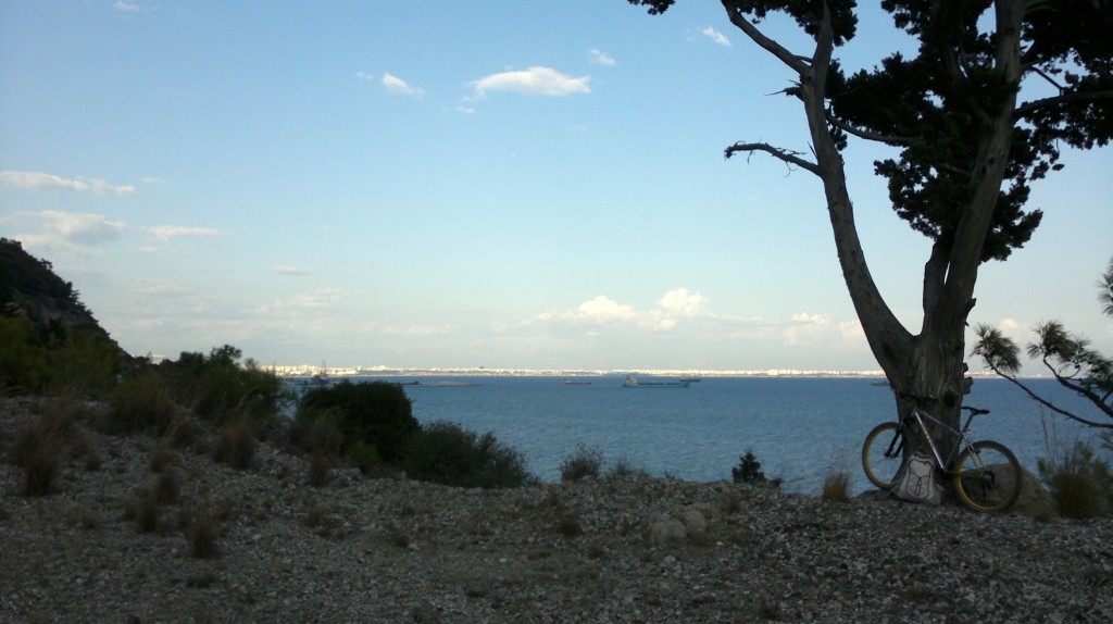 2014-10-31-1121.jpg