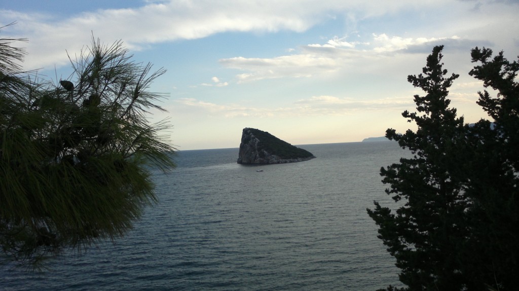 2014-10-31-1126.jpg