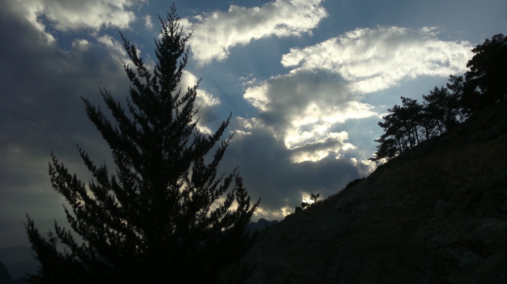 2014-10-31-1135.jpg