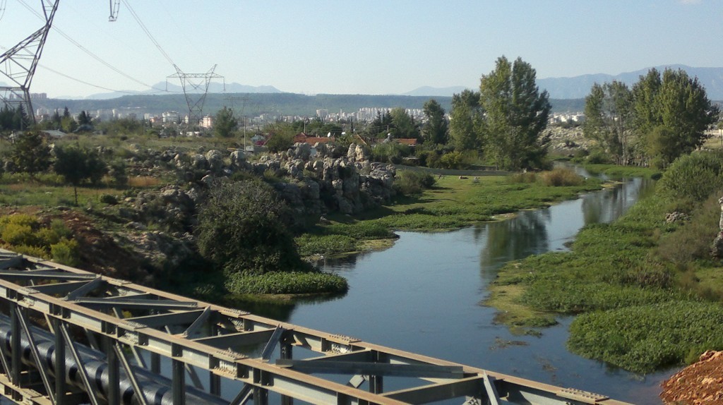 2014-11-03-1139.jpg