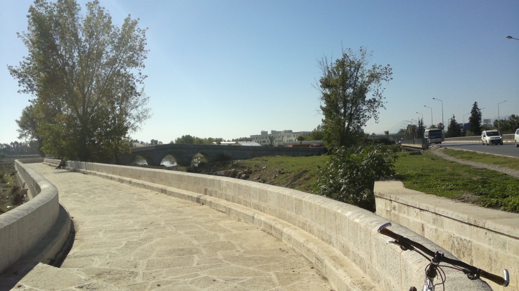 2014-11-06-1155.jpg