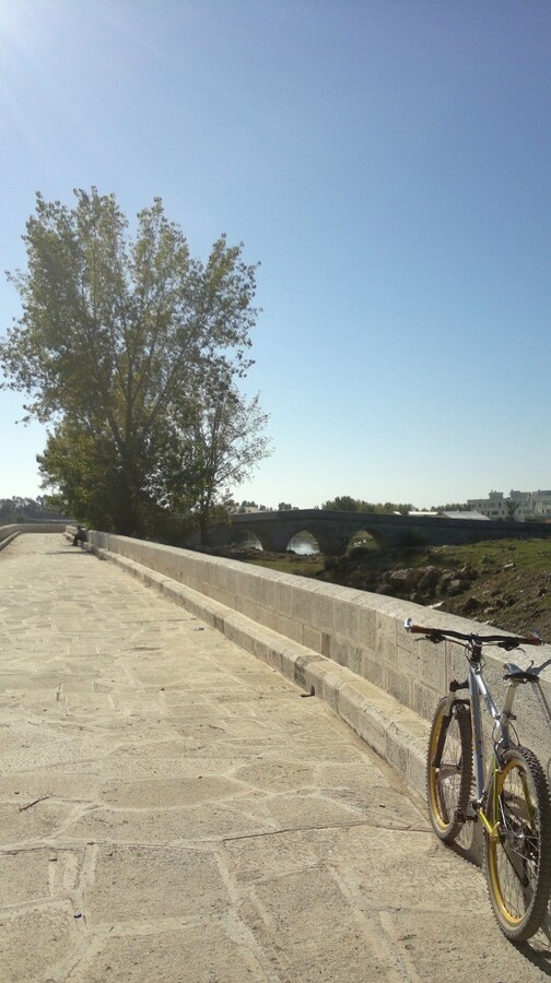 2014-11-06-1156.jpg