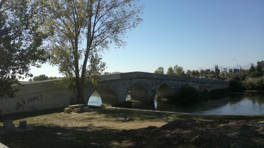 2014-11-06-1158.jpg