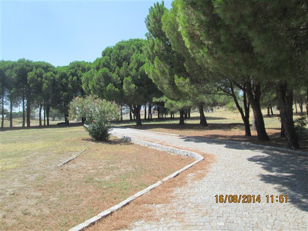 2014 A?USTOS GEZ?S? BERGAMA ASKLEP?ES 2 (600 x 450).jpg