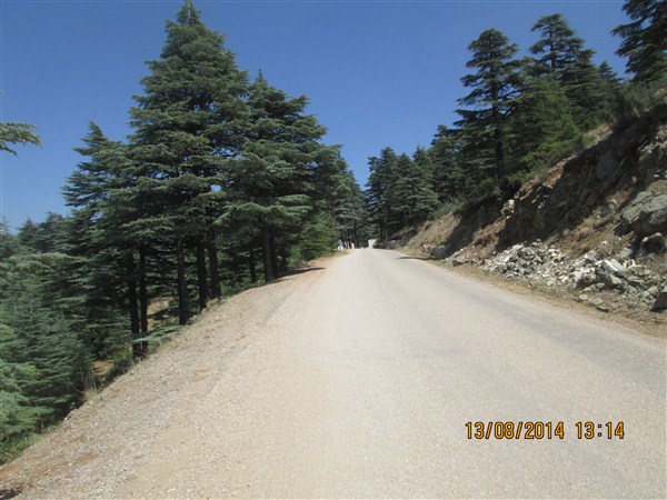 2014 A?USTOS GEZ?S? KIZILDA? M?LL? PARKI 15 (600 x 450).jpg