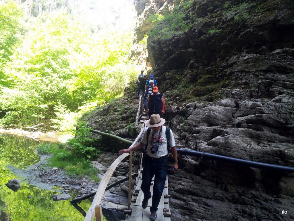 20140520_131852.jpg