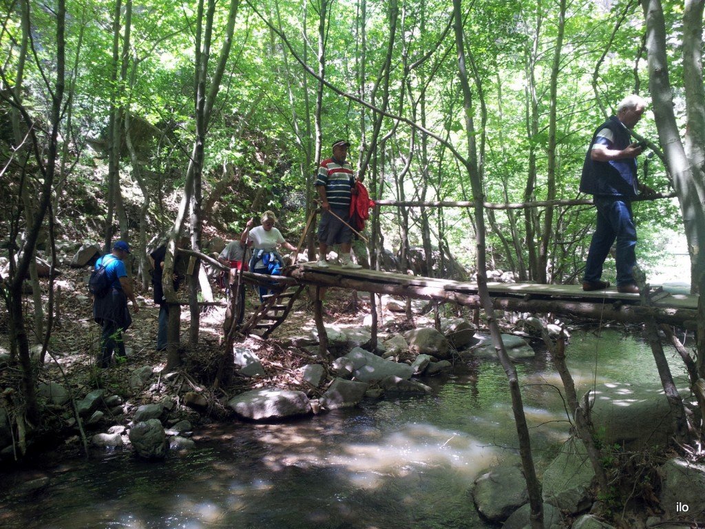 20140520_132313.jpg