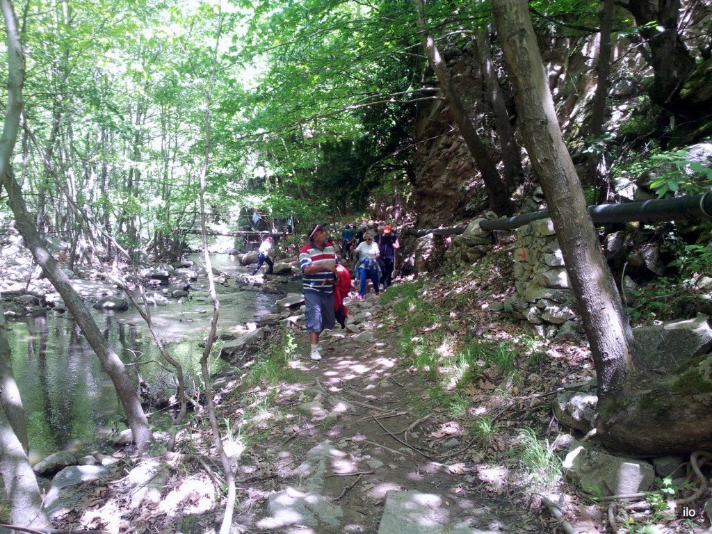 20140520_132404.jpg