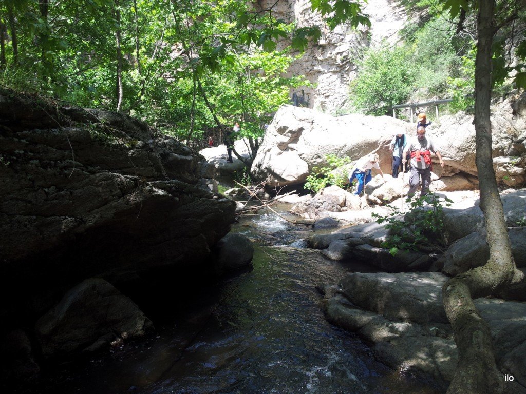 20140520_132821.jpg