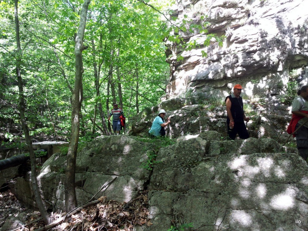 20140520_133056.jpg