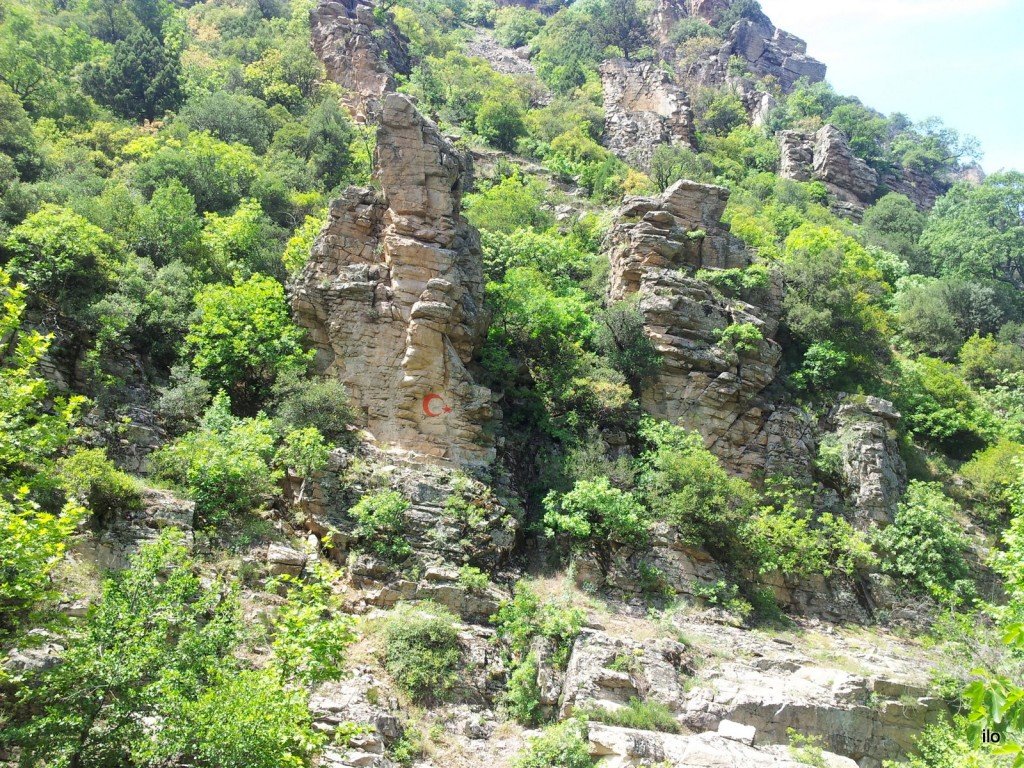 20140520_133705.jpg