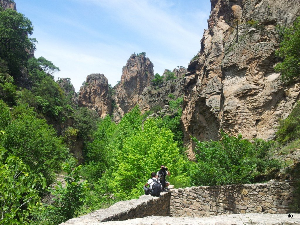 20140520_133715.jpg