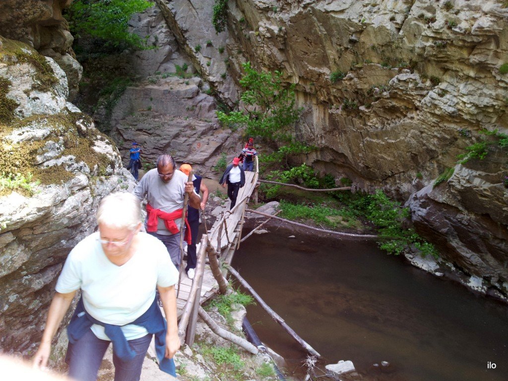 20140520_140627.jpg