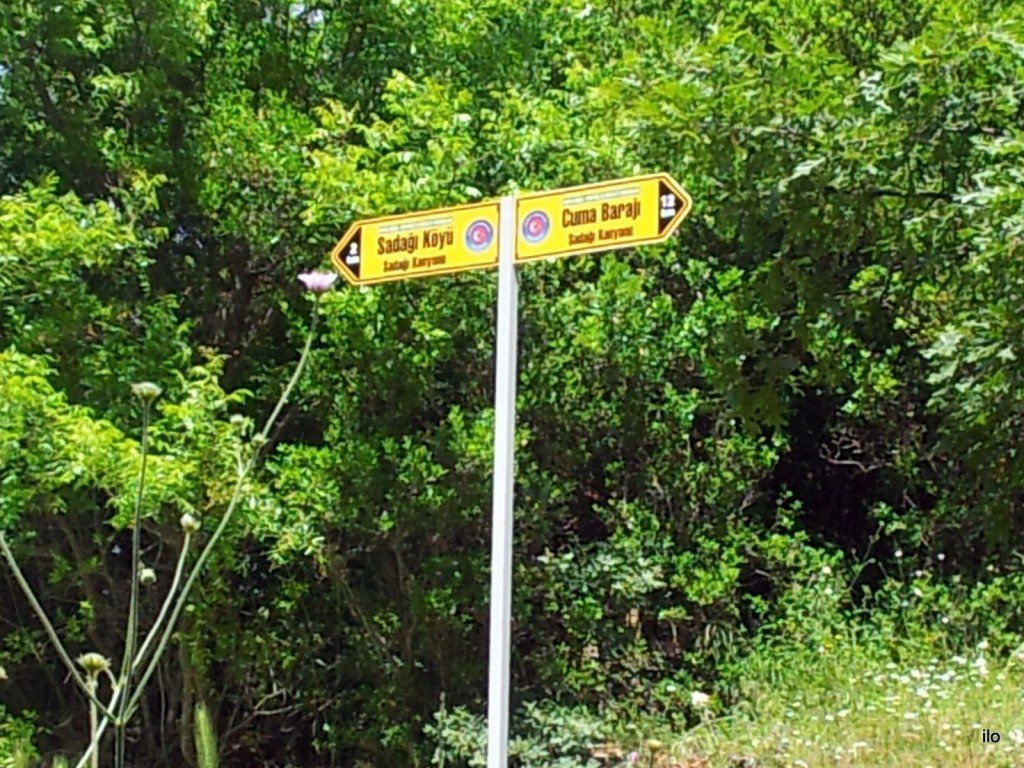 20140520_142427.jpg