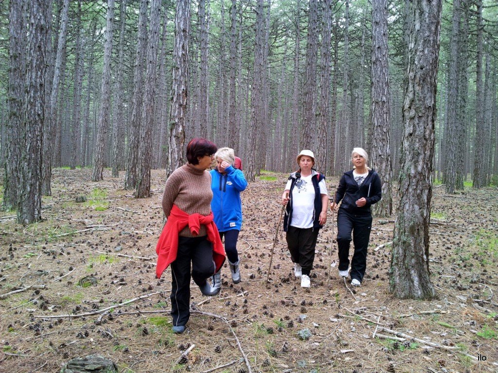 20140522_111927.jpg