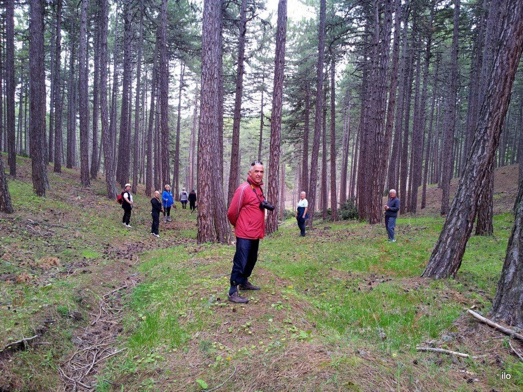 20140522_112156.jpg