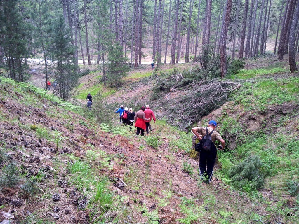 20140522_112429.jpg
