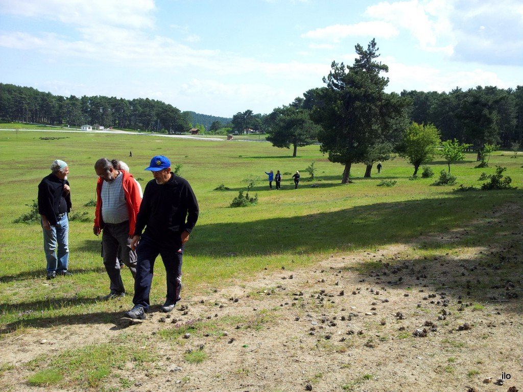 20140522_161102.jpg