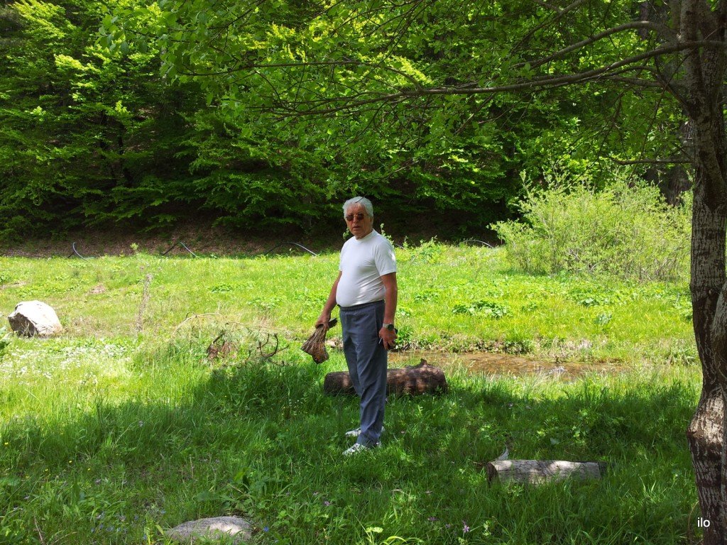 20140523_134752.jpg
