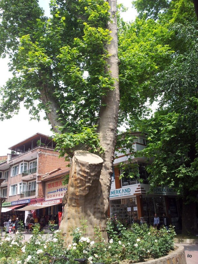 20140524_135020.jpg