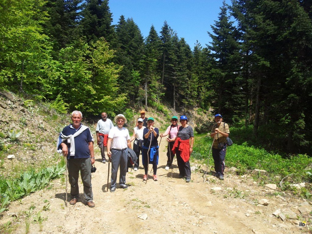 20140525_122936.jpg