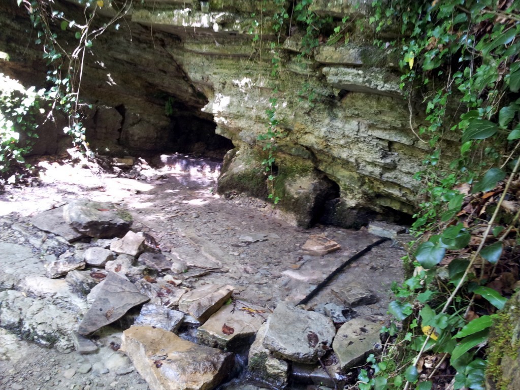 20140821_125736.jpg