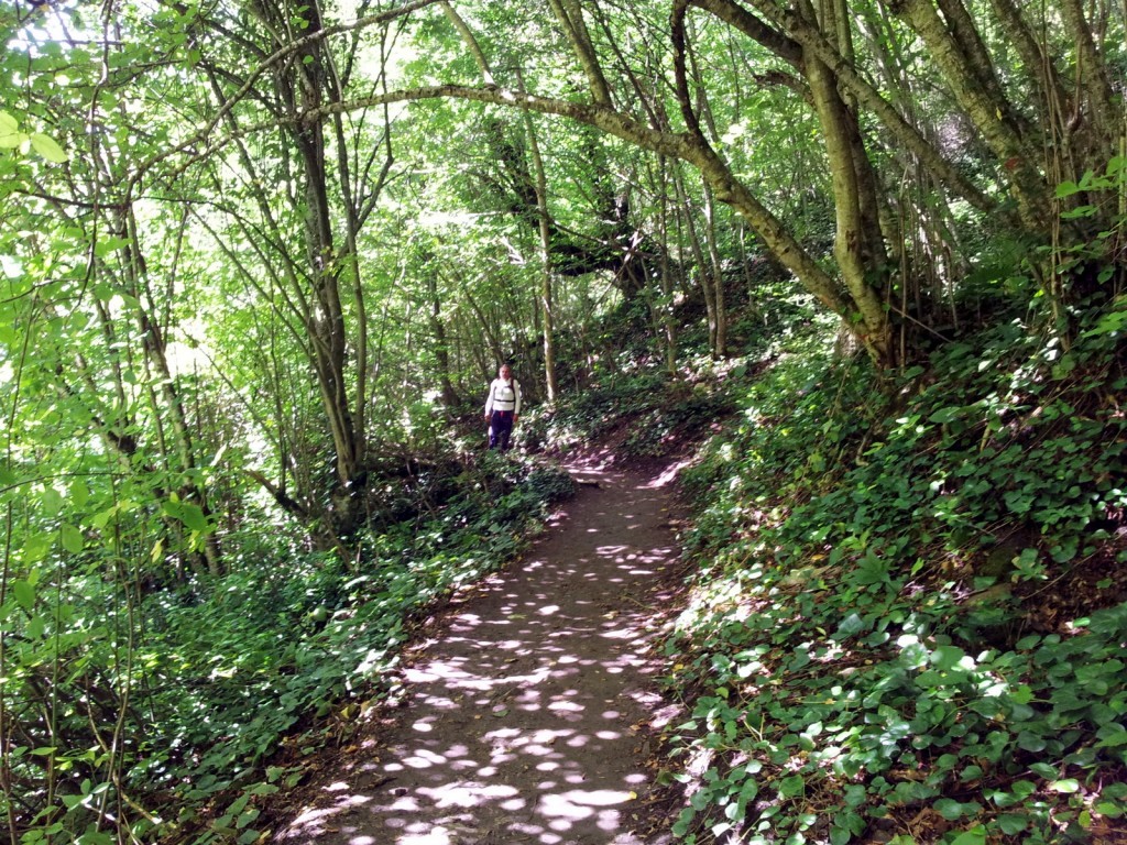 20140821_133431.jpg
