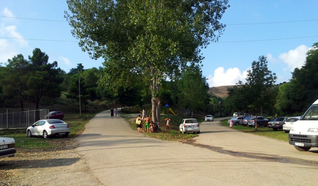 20140823_173050.jpg