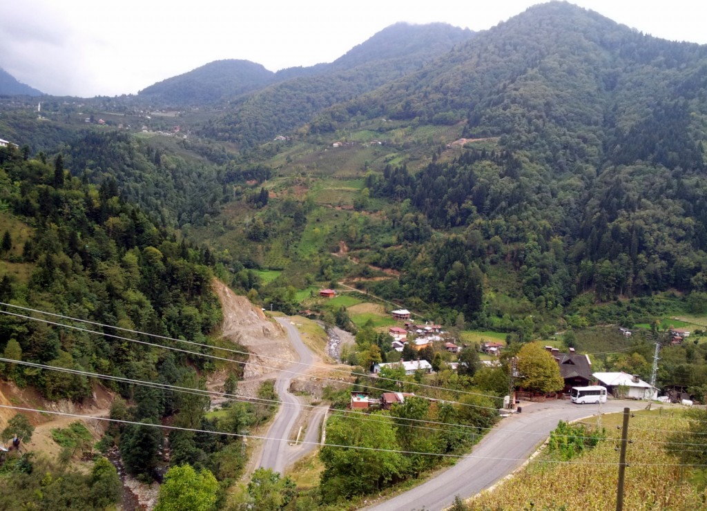 20140918_155311.jpg