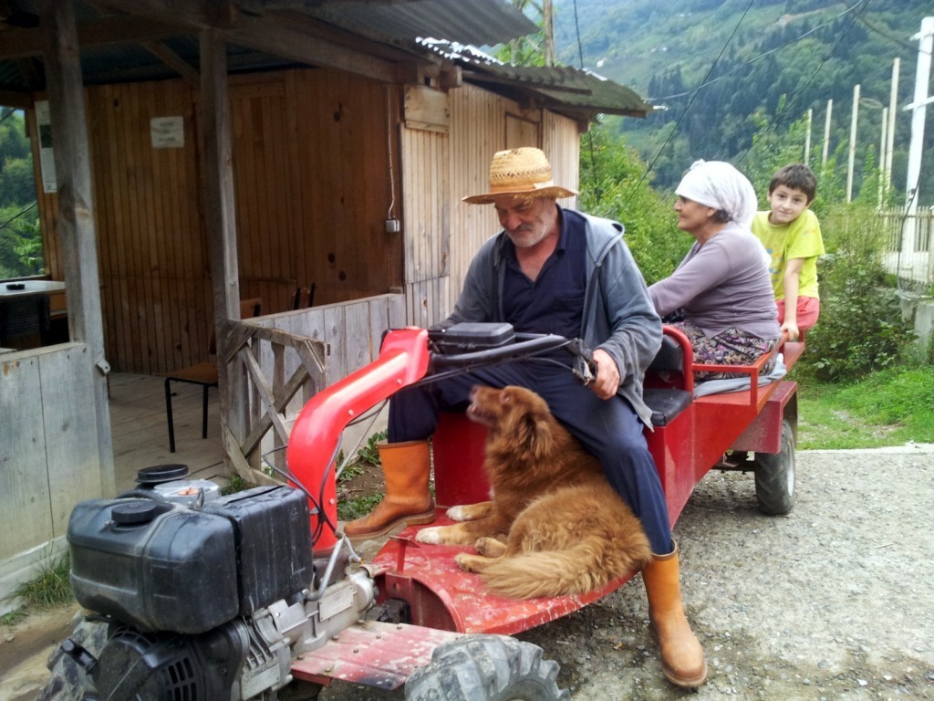 20140918_162316.jpg