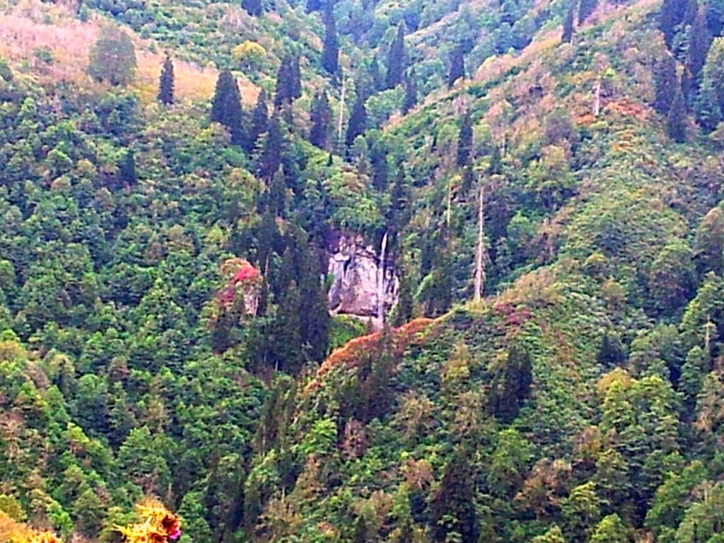 20140919_124258.jpg