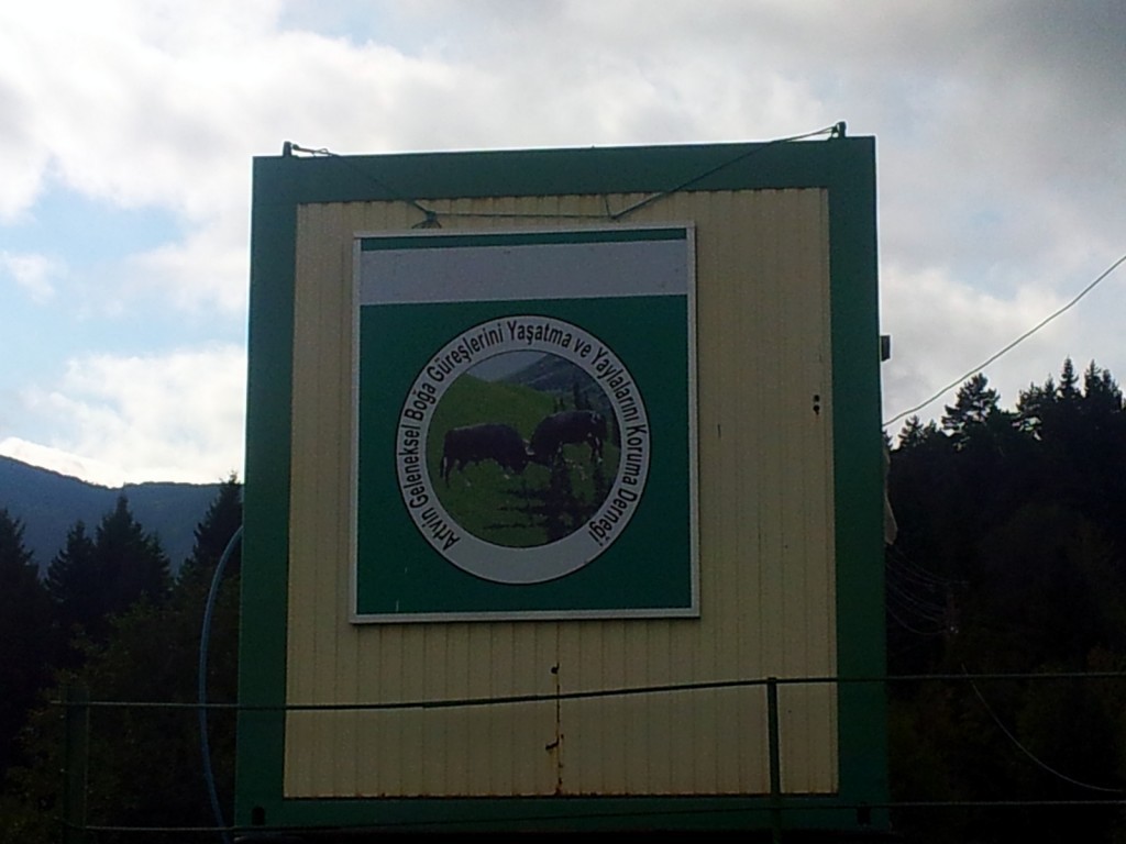 20140920_091143.jpg