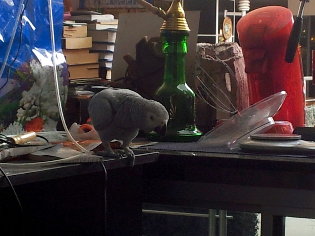 20140922_130225.jpg