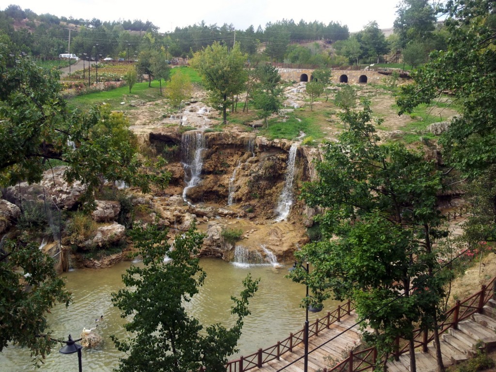 20140923_154106.jpg