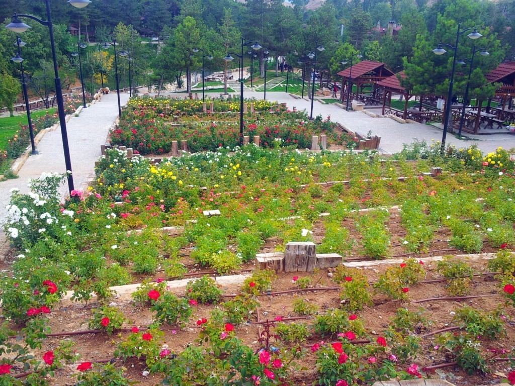 20140923_155307.jpg