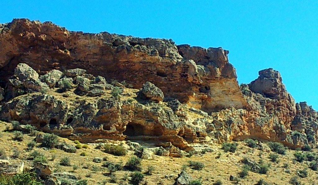 20140924_121107.jpg