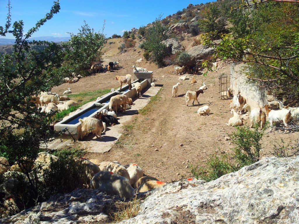 20140924_121635.jpg