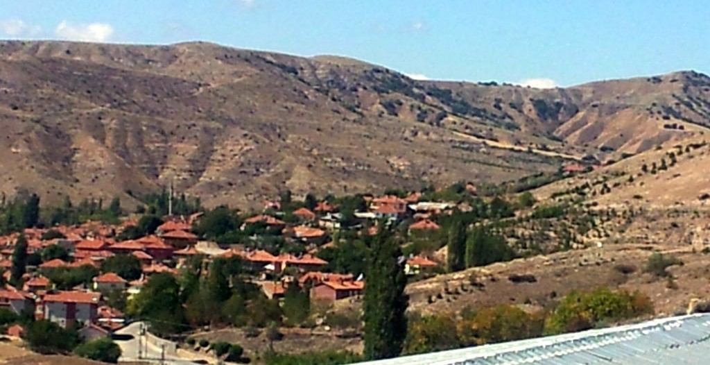 20140924_124402.jpg
