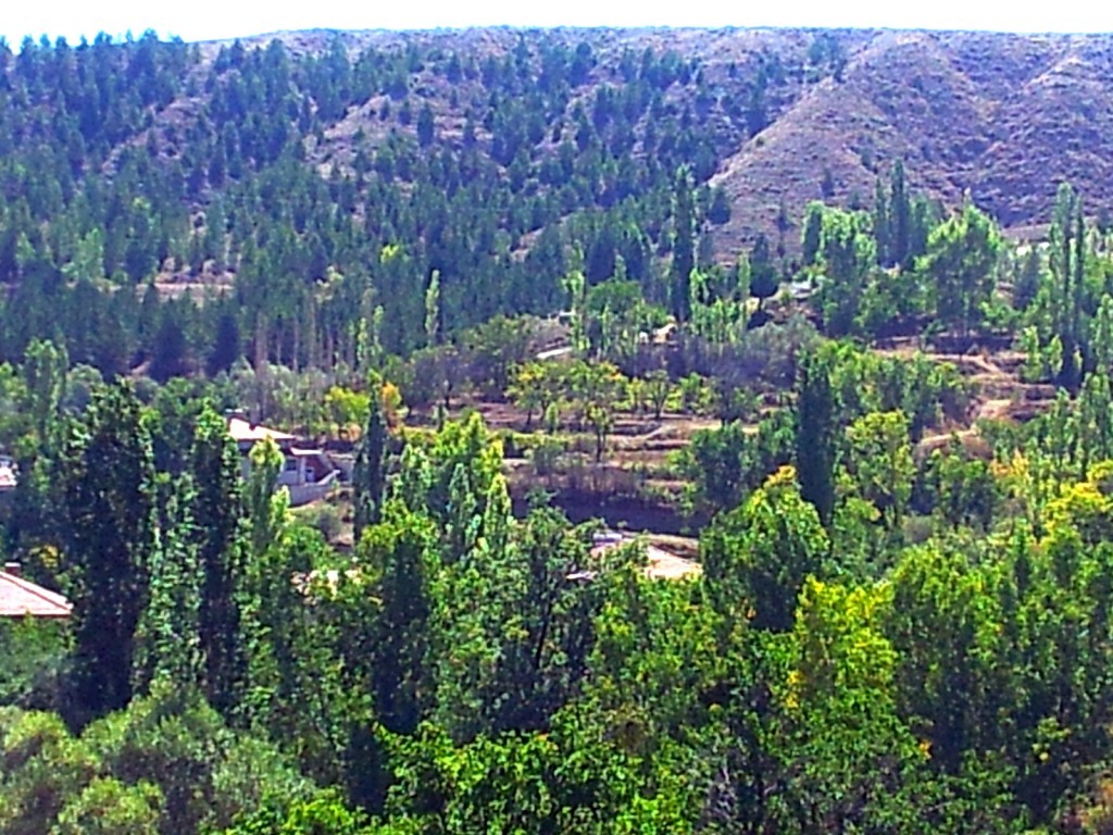 20140925_125915.jpg