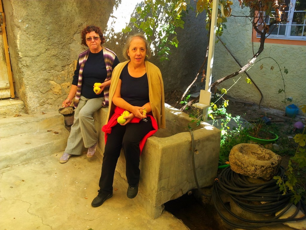 20140925_132736.jpg