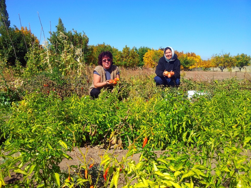 20141009_123506.jpg