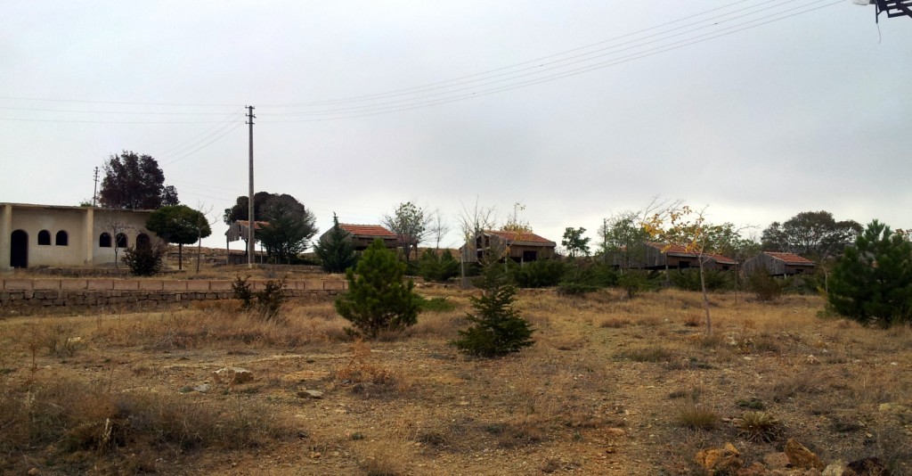 20141011_112433.jpg