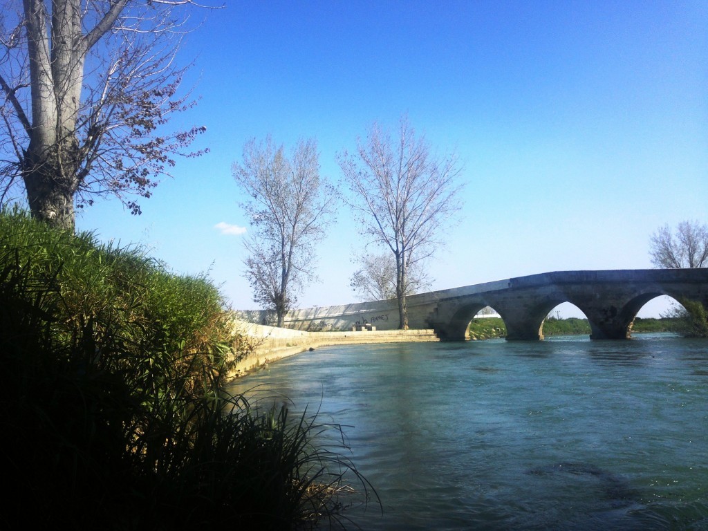 2015-04-13-1768.jpg